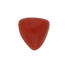 Wite & Gold | Red Coral /Moonga